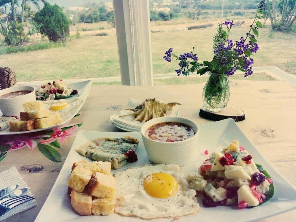 Bonjour Bebe Bed & Breakfast Hằng Xuân Cổ Trấn Ngoại thất bức ảnh